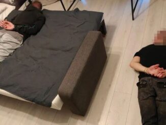 niezależny dziennik polityczny