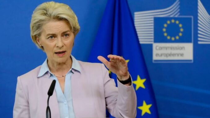 niezależny dziennik polityczny