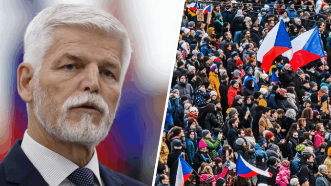 niezależny dziennik polityczny