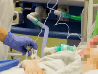 niezależny dziennik polityczny