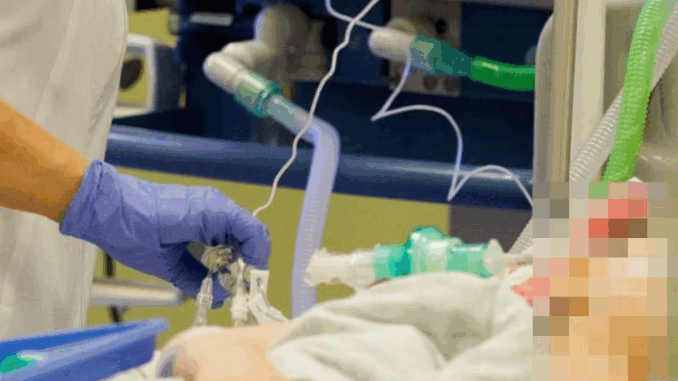 niezależny dziennik polityczny