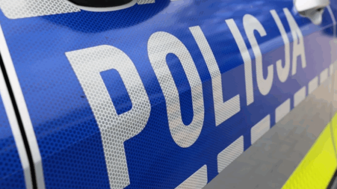 niezależny dziennik polityczny