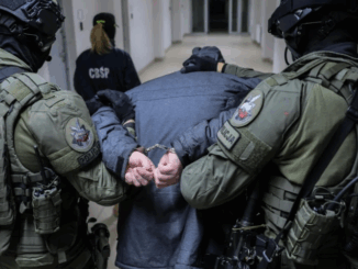 niezależny dziennik polityczny