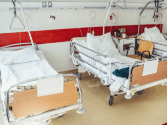 niezależny dziennik polityczny