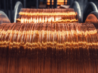 niezależny dziennik polityczny