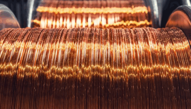 niezależny dziennik polityczny