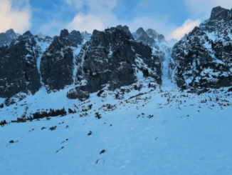 niezależny dziennik polityczny