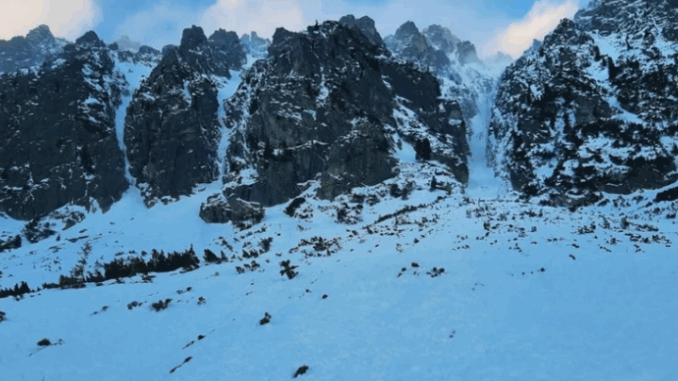 niezależny dziennik polityczny