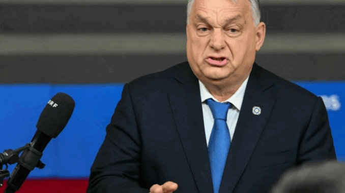 niezależny dziennik polityczny