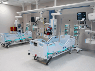 niezależny dziennik polityczny