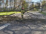 Setki interwencji straży pożarnej z powodu wichur