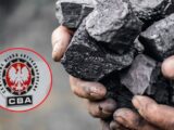 Zatrzymania w sprawie nieprawidłowości przy zakupie węgla przez rząd