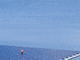 Azja stawia na pływające farmy fotowoltaiczne, by przyspieszyć transformację energetyczną