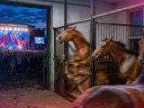 Głośne festiwale muzyczne na warszawskim torze wyścigów: problem dla koni