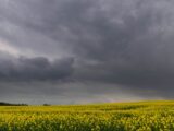 Burze i opady deszczu: IMGW wydał ostrzeżenia pogodowe na weekend
