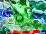 System kaucyjny: wiosenne dylematy spacerowiczów