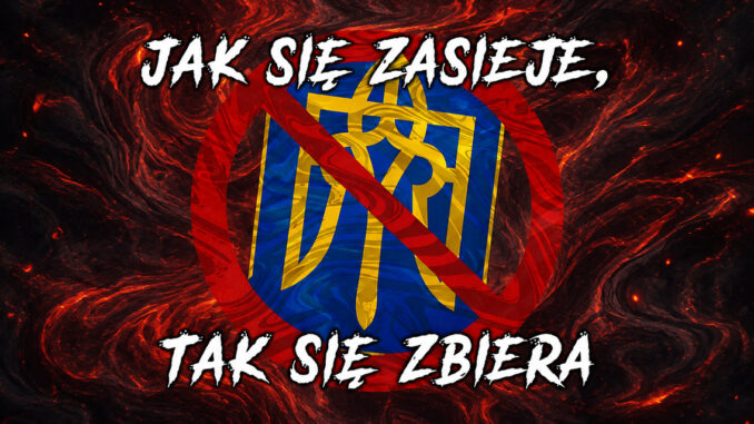 ndp danuta nowakowska