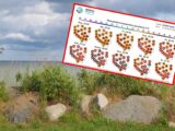 Ochłodzenie na Północy i Burzowe Niespodzianki na Południu Polski