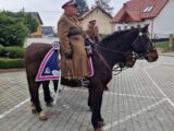 Trwają poszukiwania reprezentacyjnego konia Amaranta w Krakowie