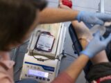 Światowy Dzień Krwiodawcy: Apel o pomoc w okresie wakacyjnym