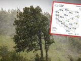Burzowy początek tygodnia w Polsce: nawałnice i silne wiatry