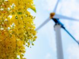 Nowa propozycja funduszu partycypacyjnego dla mieszkańców farm wiatrowych