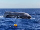 SpaceX podejmuje próbę odzyskania prototypu Starshipa z Oceanu Indyjskiego
