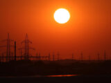 Polskie Sieci Elektroenergetyczne znów interweniują na rynku mocy