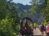 Rewolucyjne zmiany w transporcie do Morskiego Oka: konie odpoczną, wkraczają e-busy