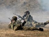 Polskie Siły Zbrojne: Struktura i Rola w Współczesnej Obronie