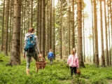 Jakie przepisy regulują zbieranie grzybów w Polsce?
