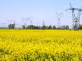 Kontrowersje wokół zamknięcia Elektrowni Siersza: Spór między rządem a opozycją
