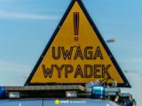 Tragiczny Wypadek na DW 442: Śmiertelne Potrącenie 30-latka